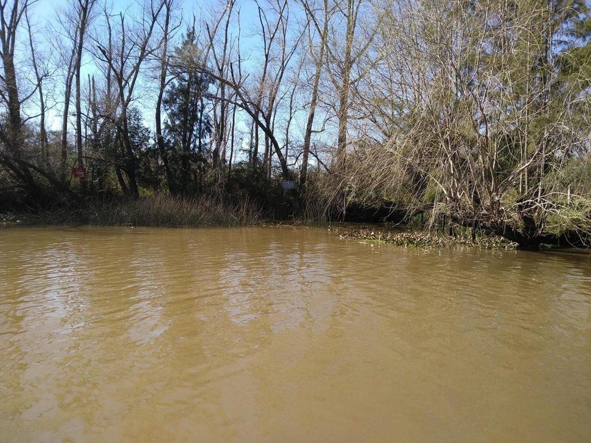 Foto de VENTA DE LOTE EN EL DELTA DE TIGRE PRIMERA SECCIÓN, imagen 1