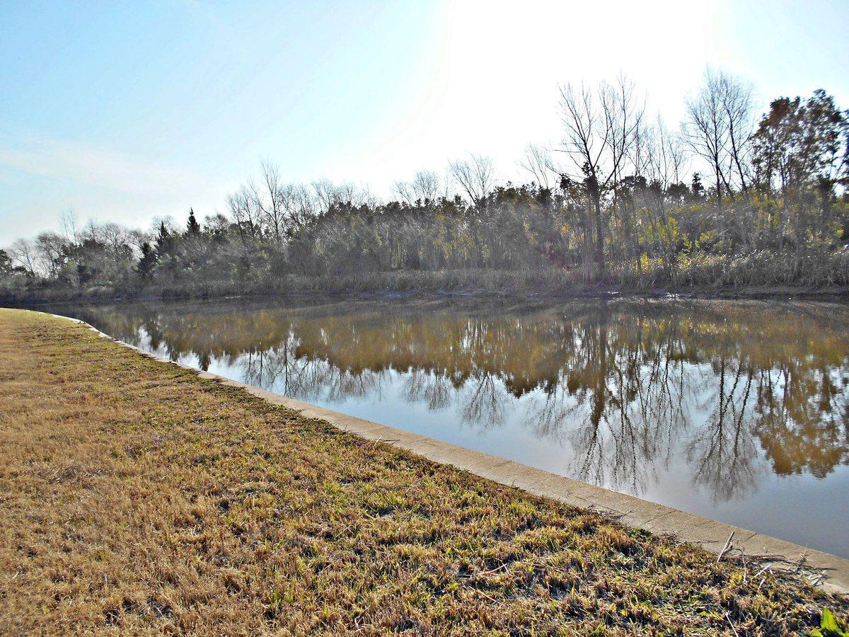 Foto de VENTA LOTE AL LAGO EN EL NAUDIR CON SALIDA AL RÍO, imagen 5