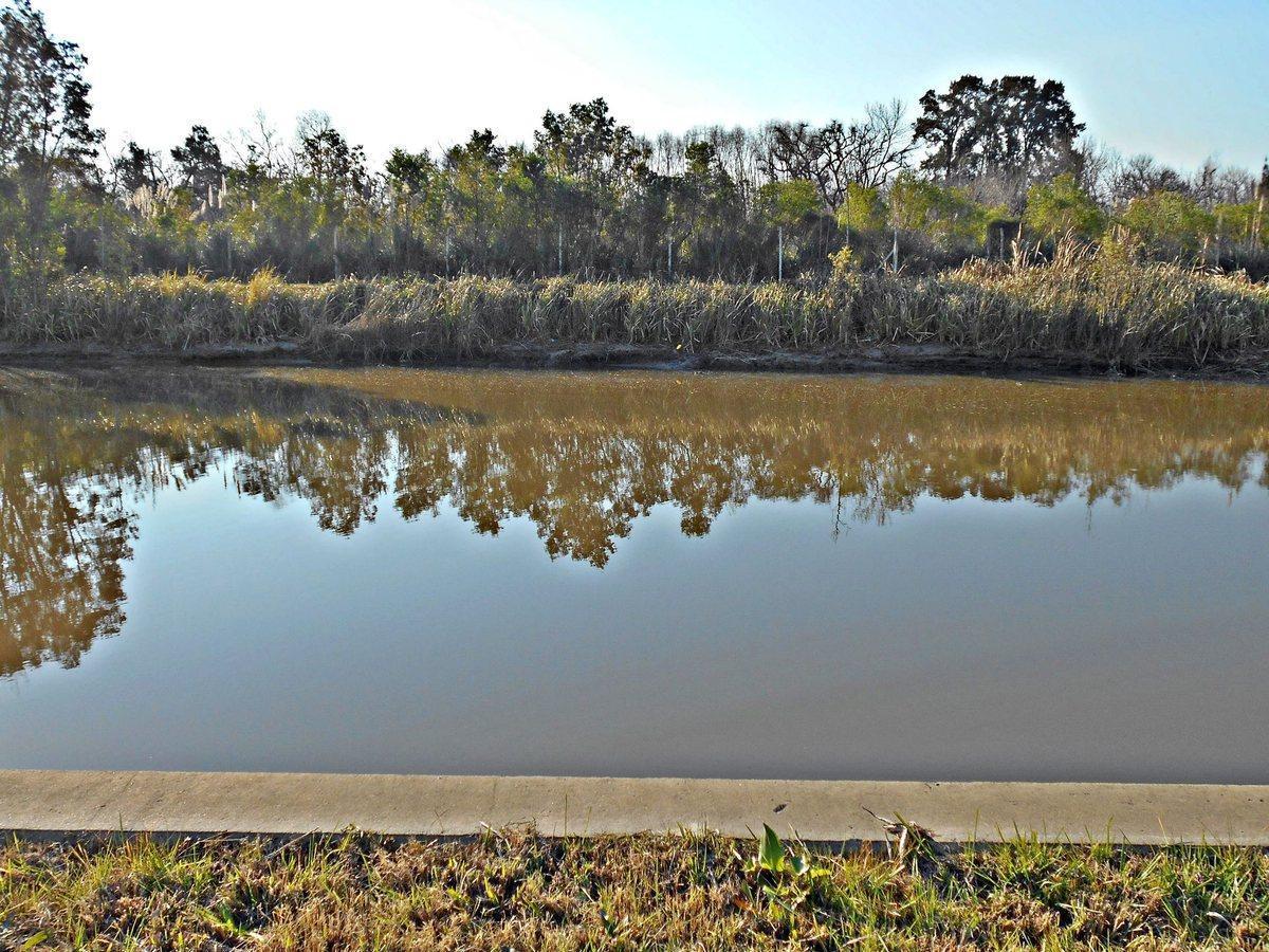 Foto de VENTA LOTE AL LAGO EN EL NAUDIR CON SALIDA AL RÍO, imagen 4