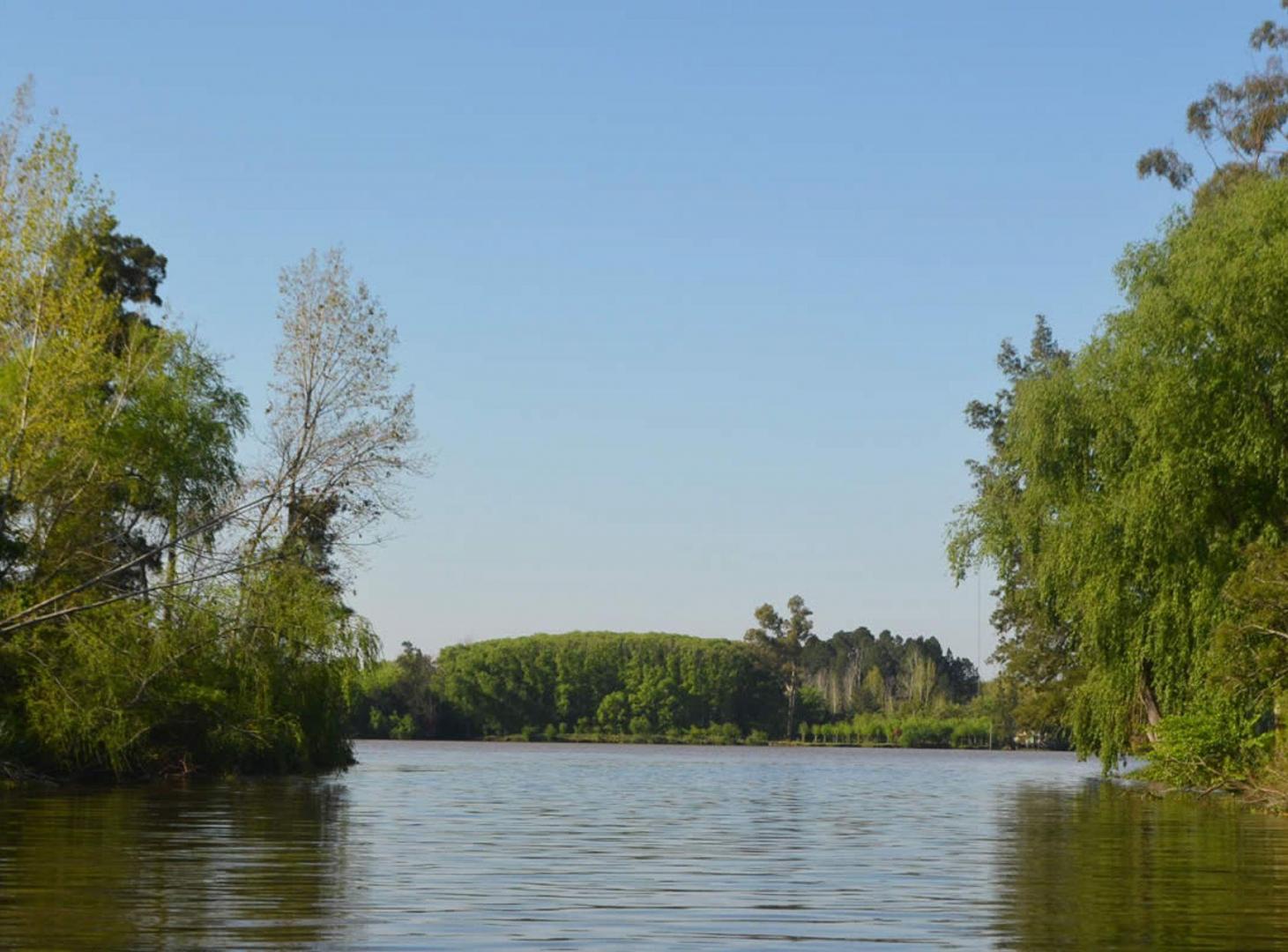 Foto de VENTA LOTE EN BAHÍAS DEL PARANÁ -AL CANAL INFERIOR, imagen 4