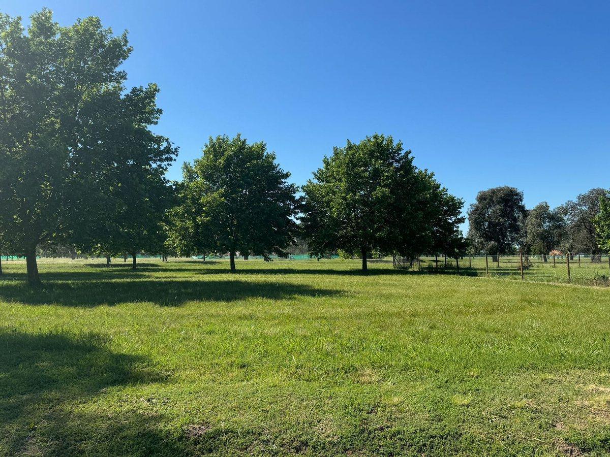 Foto de venta de lote en MIRABOSQUES CARDALES, imagen 5