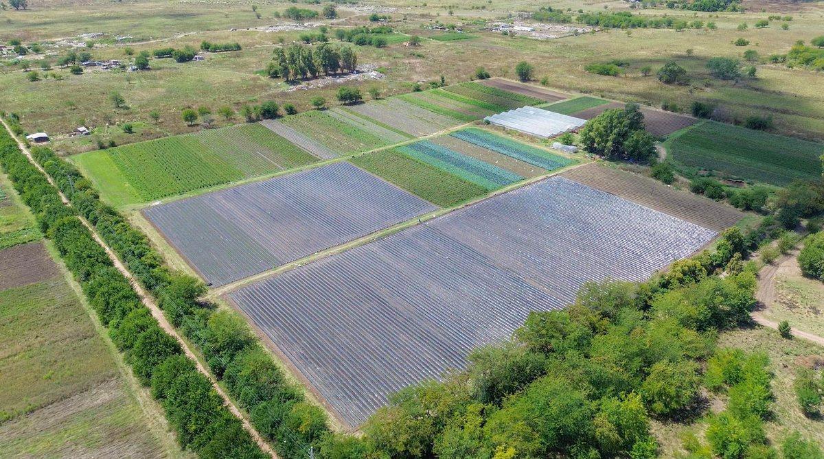 Foto de VENTA FRACCION 9 HECTAREAS ZONIFICACION CR1 PILAR, imagen 4