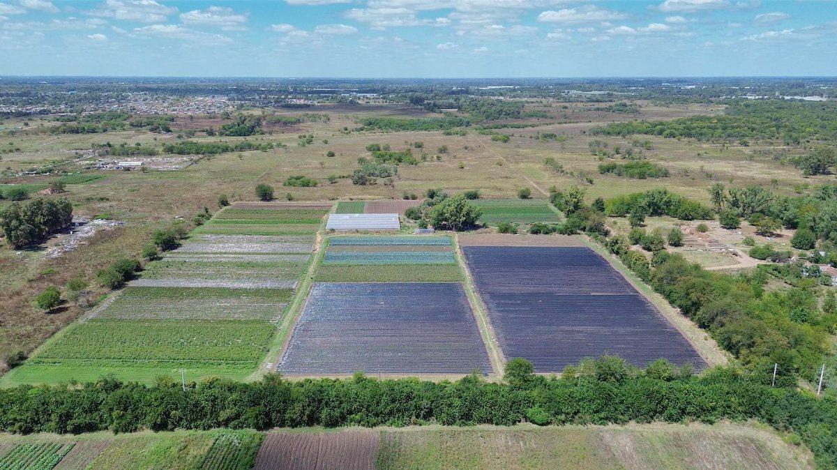 Foto de VENTA FRACCION 9 HECTAREAS ZONIFICACION CR1 PILAR, imagen 3