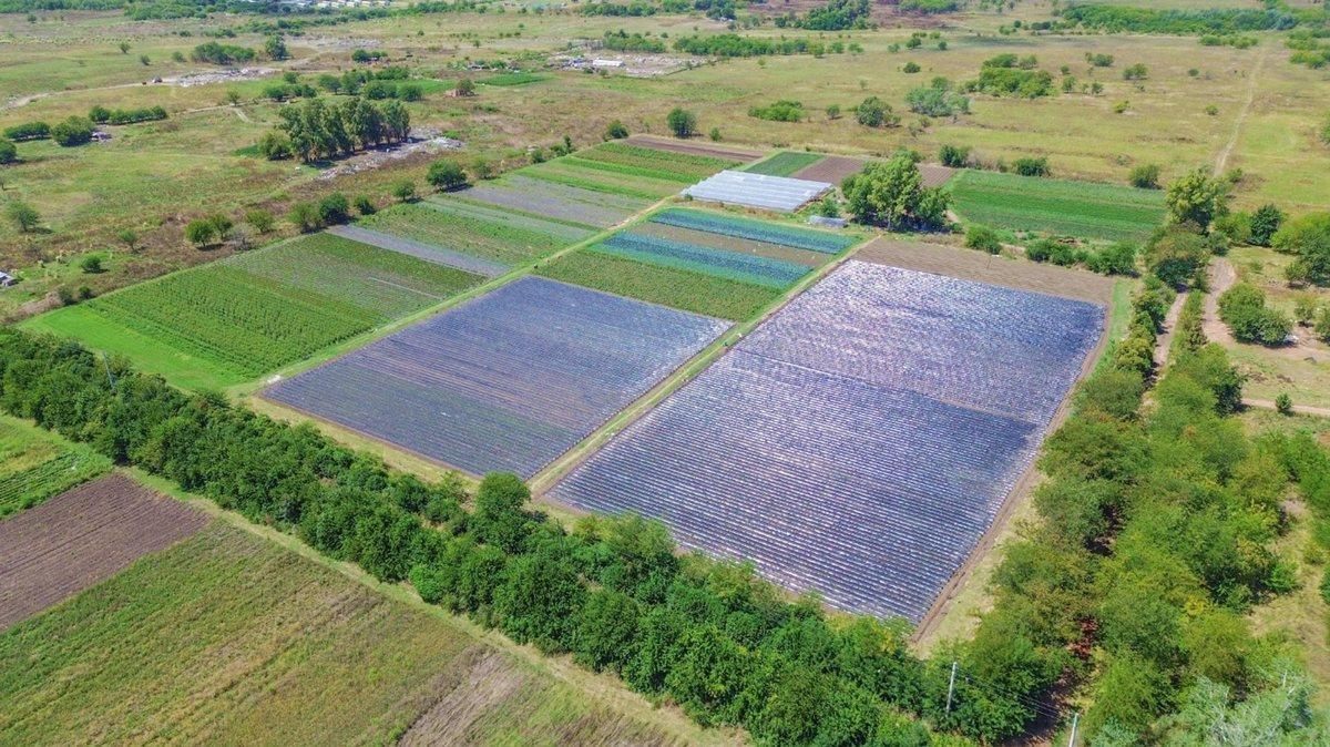 Foto de VENTA FRACCION 9 HECTAREAS ZONIFICACION CR1 PILAR, imagen 2