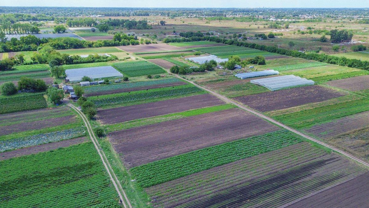 Foto de VENTA FRACCION 48 HECTAREAS ZONIFICACION CR1 PILAR, imagen 4
