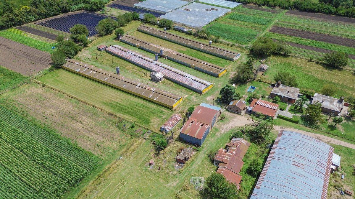 Foto de VENTA FRACCION 11 HECTAREAS ZONIFICACION CR1 PILAR, imagen 4