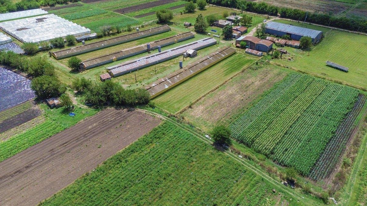 Foto de VENTA FRACCION 11 HECTAREAS ZONIFICACION CR1 PILAR, imagen 5