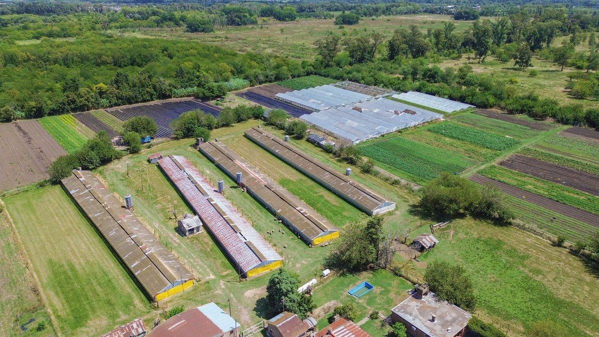 Foto de VENTA FRACCION 11 HECTAREAS ZONIFICACION CR1 PILAR, imagen 3