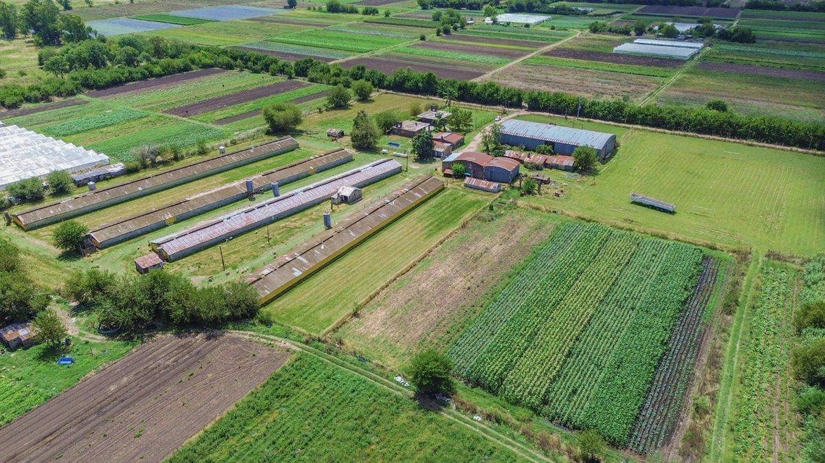 Foto de VENTA FRACCION 11 HECTAREAS ZONIFICACION CR1 PILAR, imagen 1