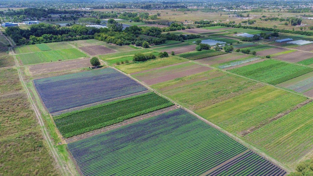 Foto de VENTA FRACCION 39 HECTAREAS ZONIFICACION CR1 PILAR, imagen 3