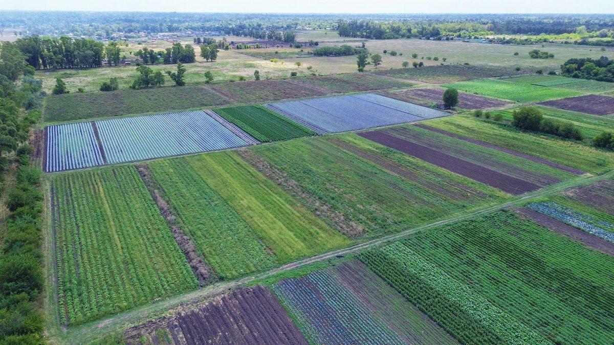 Foto de VENTA FRACCION 39 HECTAREAS ZONIFICACION CR1 PILAR, imagen 1