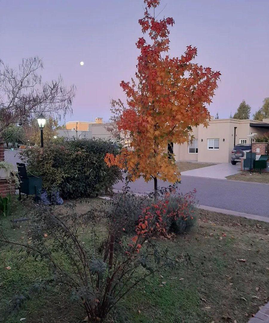 Foto de Venta Lote en Barrio Privado en La Cañada de Pilar, imagen 2
