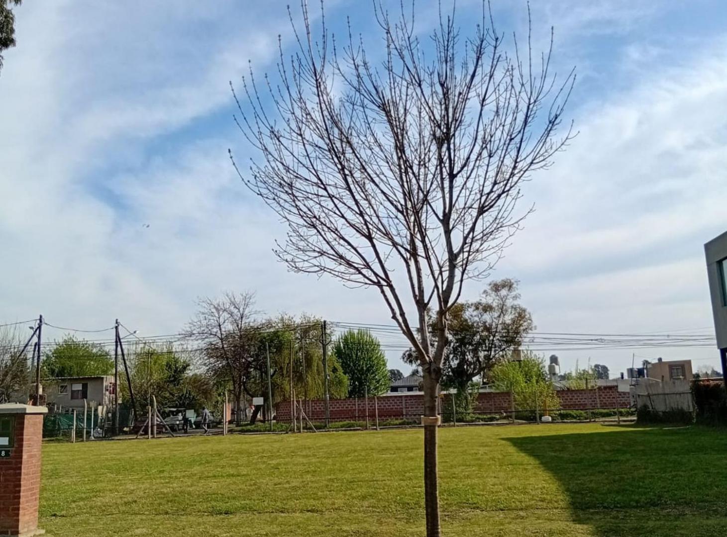 Foto de OPORTUNIDAD LOTE INTERNO, imagen 5