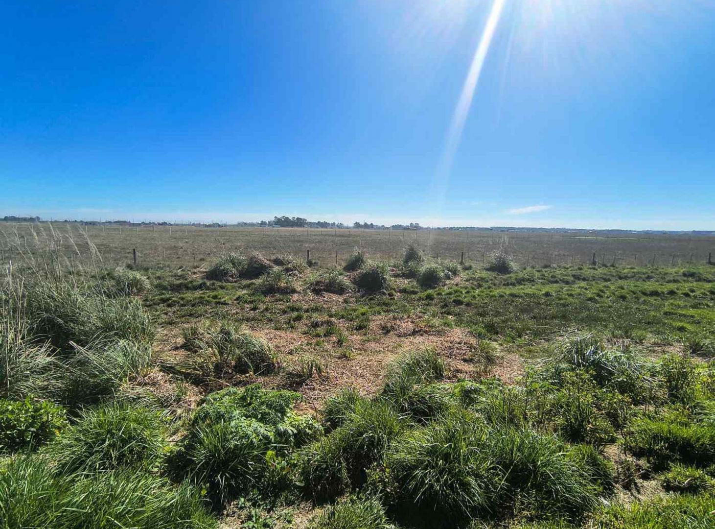 Foto de Venta Lote - San Vicente - sobre RUTA 6, imagen 1