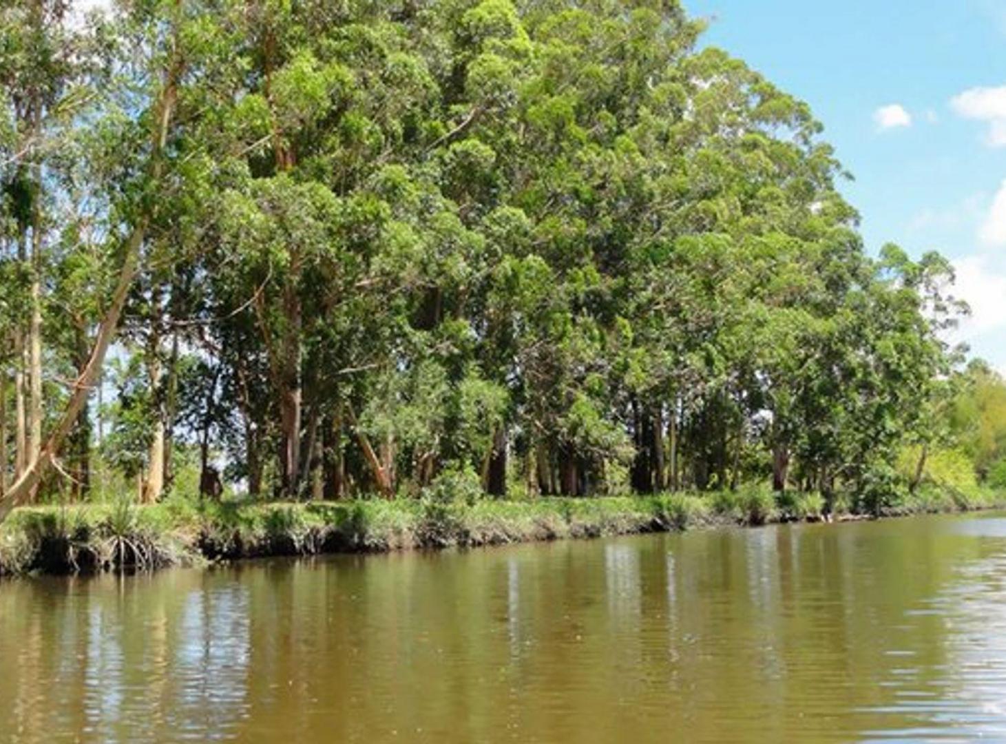 Foto de VENTA CHACRA BAHÍAS DEL PARANÁ- AL CANAL STA MARÍA, imagen 2