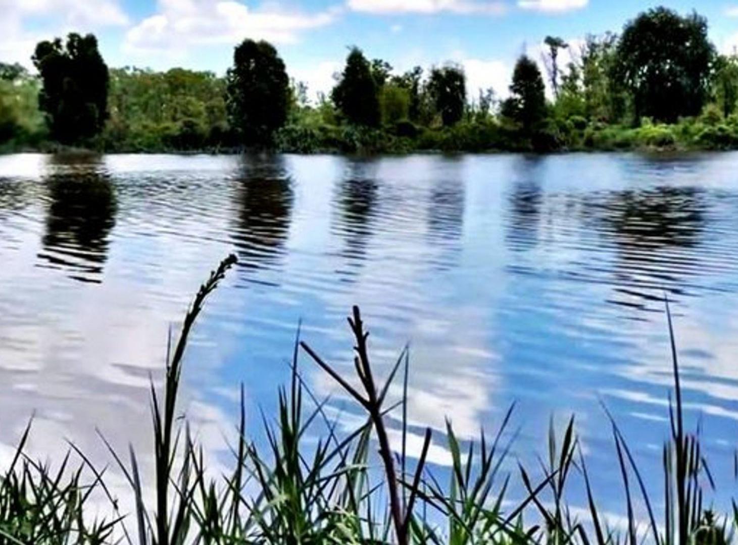 Foto de VENTA CHACRA BAHÍAS DEL PARANÁ- AL CANAL STA MARÍA, imagen 5