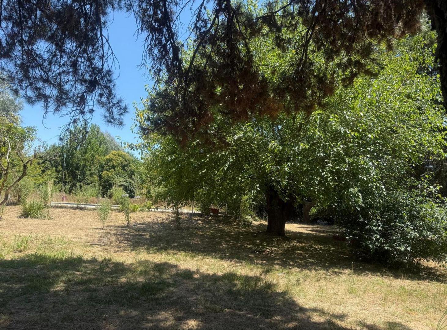 Foto de TERRENO EN VENTA EN PILAR-APTO DESARROLLO, imagen 2