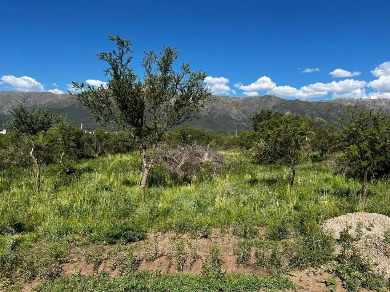 Venta San Luis terreno Lote 800,71mts Loteo Suelos Puntanos 5 3