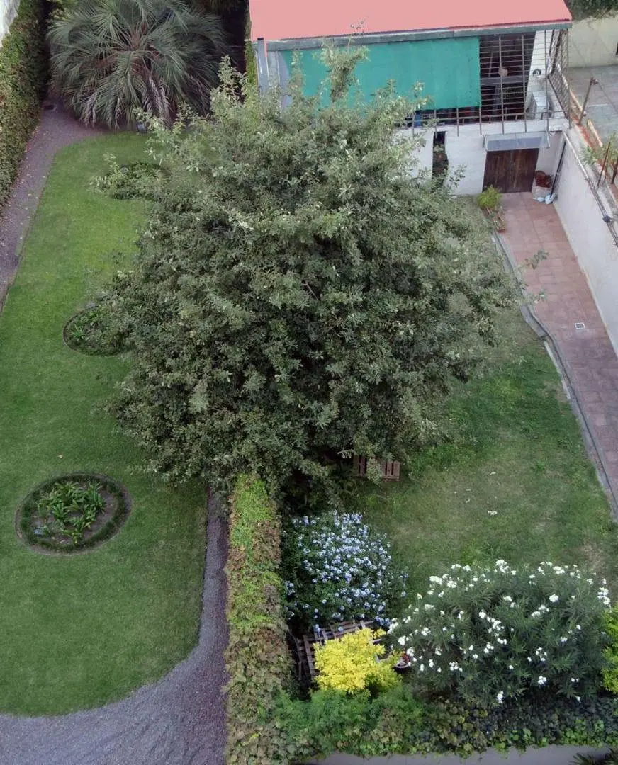 3 Ambientes en Palermo – Honduras 3700- Contrafrente Súper Silencioso con Jardín Común 2