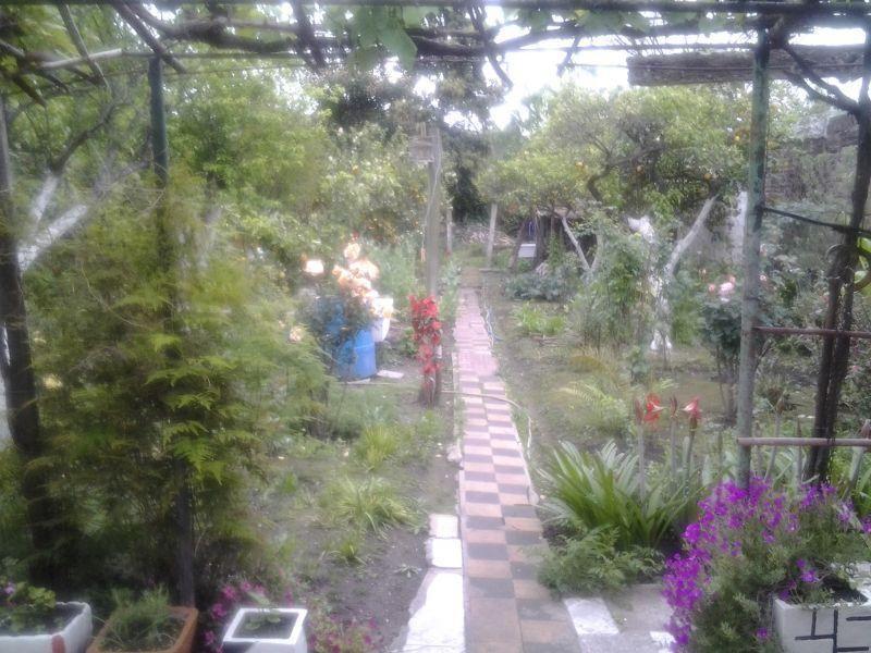 Casa 3 Dorm.. | Calle 24 4274 2