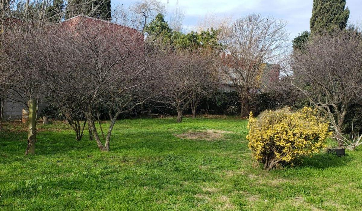 Lote. | Calle 22 852 5