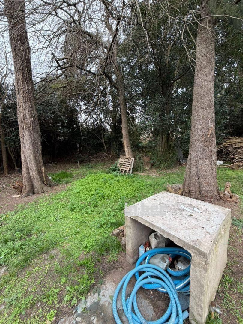Foto de Lote con pileta, imagen 4