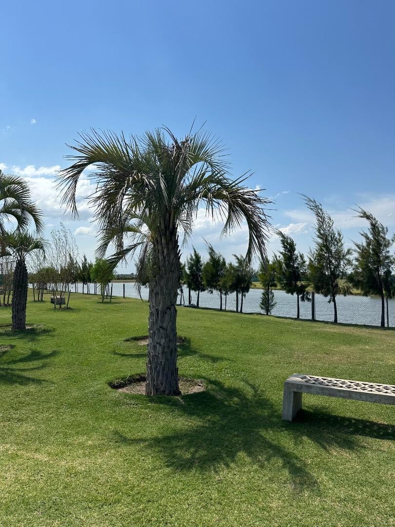 Foto de VENTA TERRENO EN VIDA CLUB DE CAMPO, imagen 4