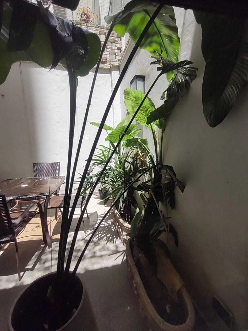 Foto de Recoleta | 4 Amb Refaccionado + Patio | Cochera y Baulera | Plaza, imagen 5