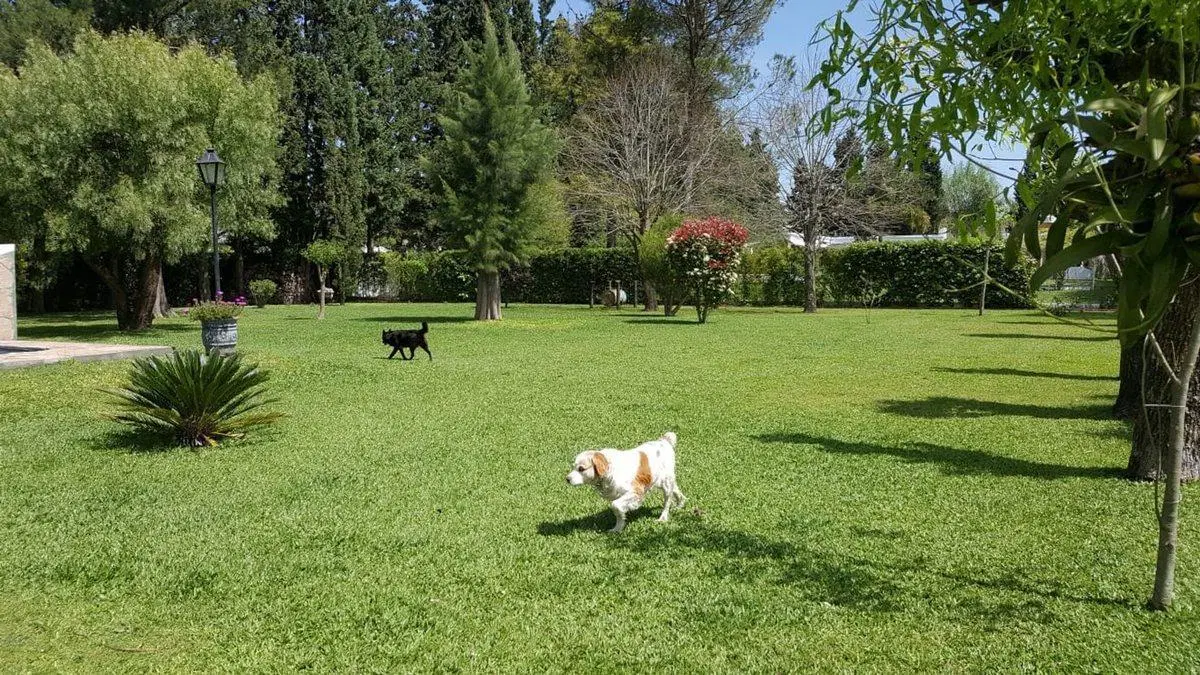 Venta casa Barrio Cerrado Melazzi Ezeiza 2500m2 3