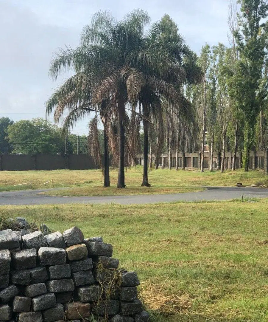 VENTA LOTE 383 M2 LOMAS DE SAN ISIDRO CLARIDAD 2. 3