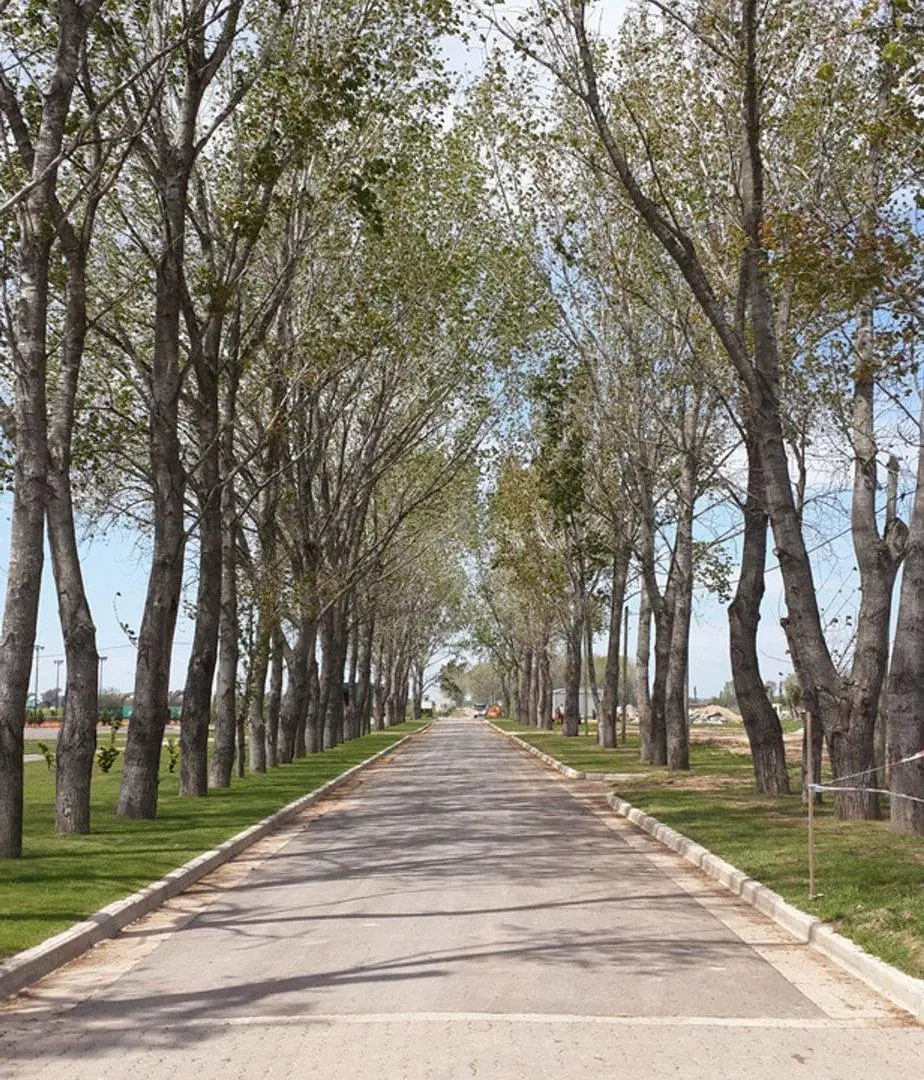 LOTE LA ALAMEDA ETAPA 1 A LAGUNA PROYECTO APROBADO 3