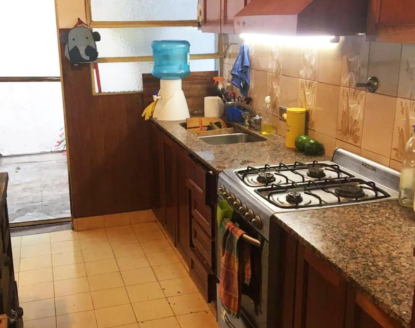 CASA EL PALOMAR 5 AMB. CON JARDÍN COCHERA PARRILLA 4