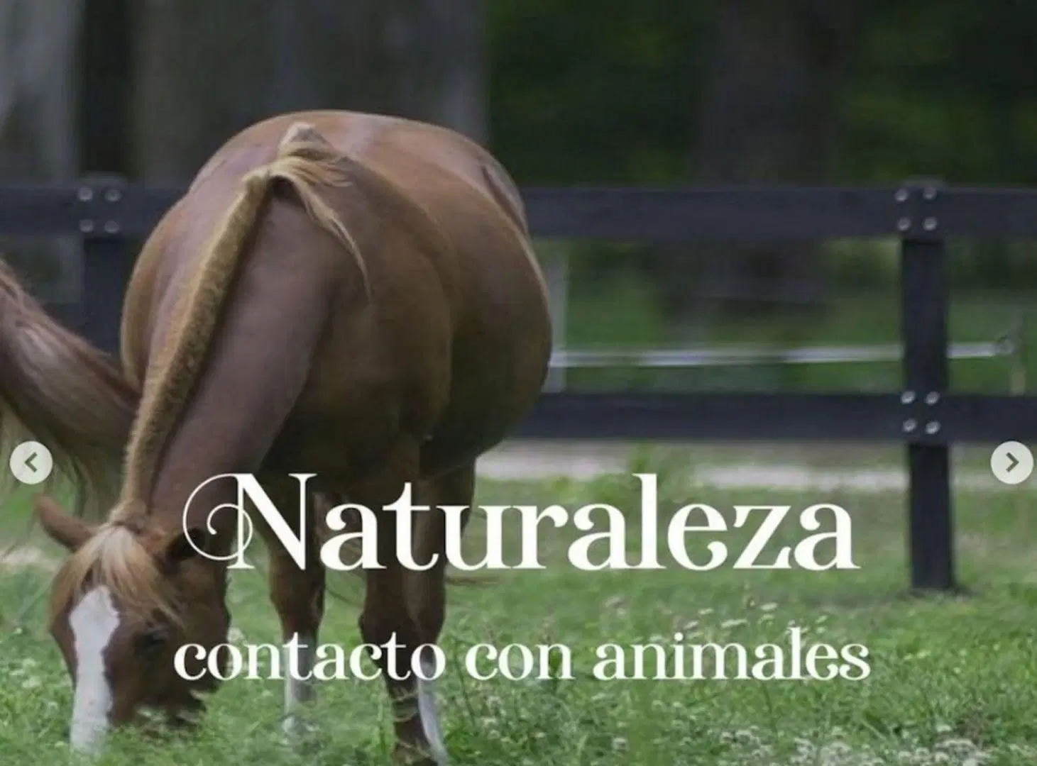 VENTA LOTE TERRENO LUJAN LAS LILAS CHACRA HARAS 3