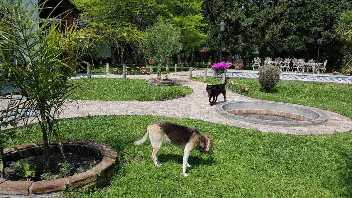 Venta casa Barrio Cerrado Melazzi Ezeiza 2500m2 4