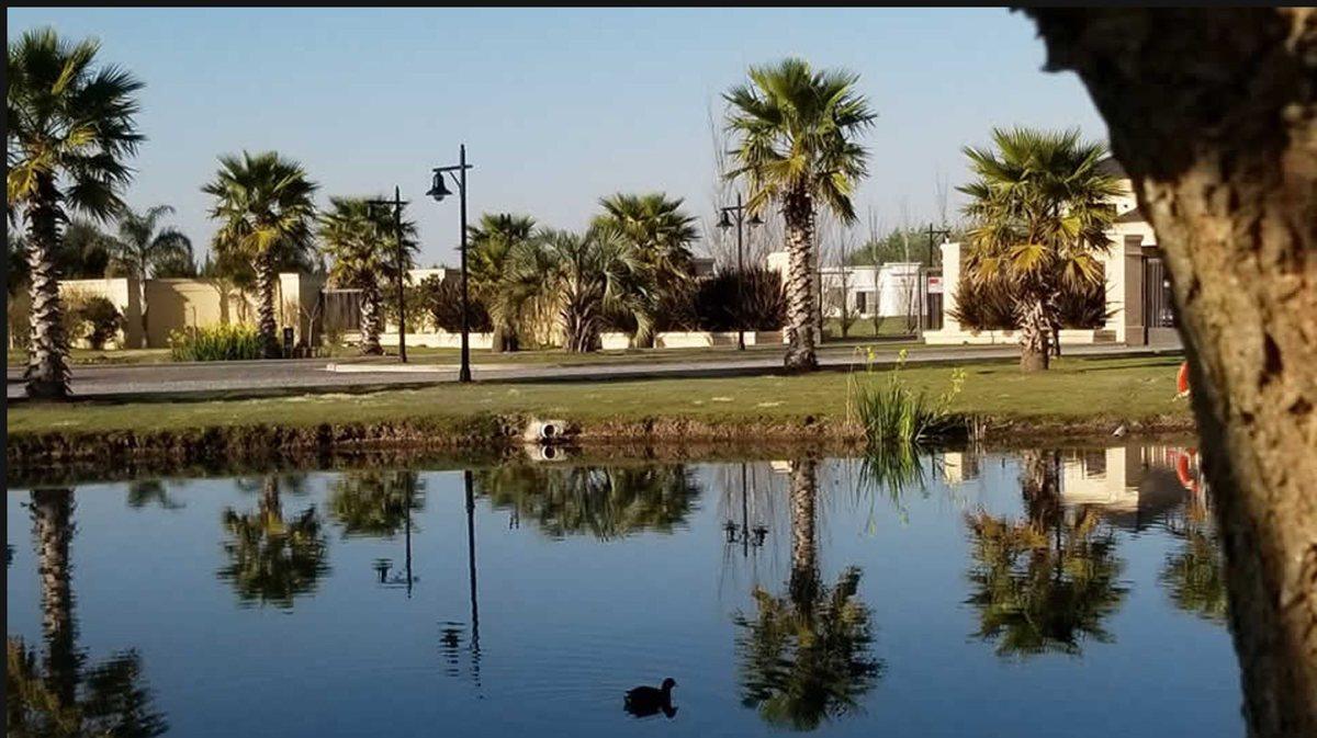Foto de LOTE EN VENTA HARAS DEL SUR 1 CON 1200 M2, imagen 4