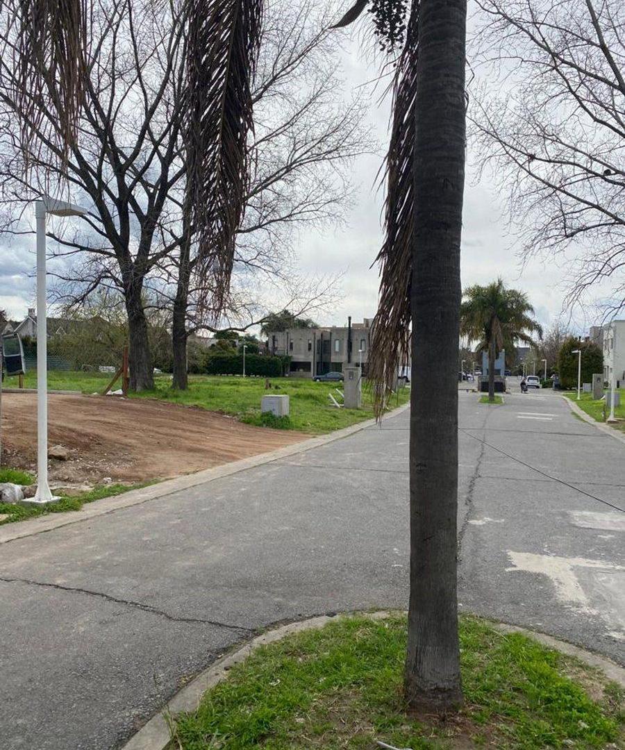 Foto de VENTA LOTE 383 M2 LOMAS DE SAN ISIDRO CLARIDAD 2., imagen 3
