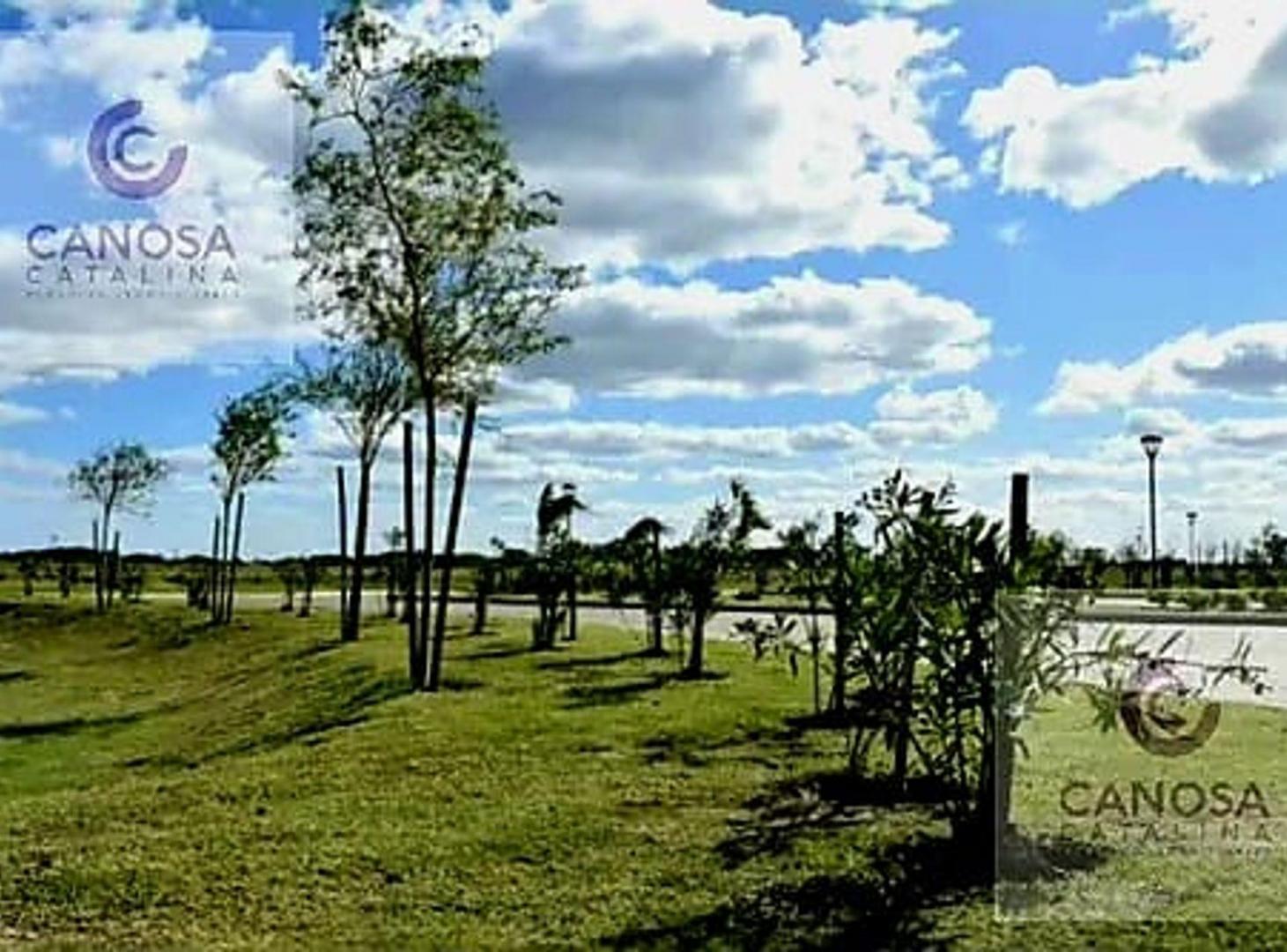 Foto de VENTA LOTE SANTA CLARA AL SUR/ acepta permuta., imagen 3