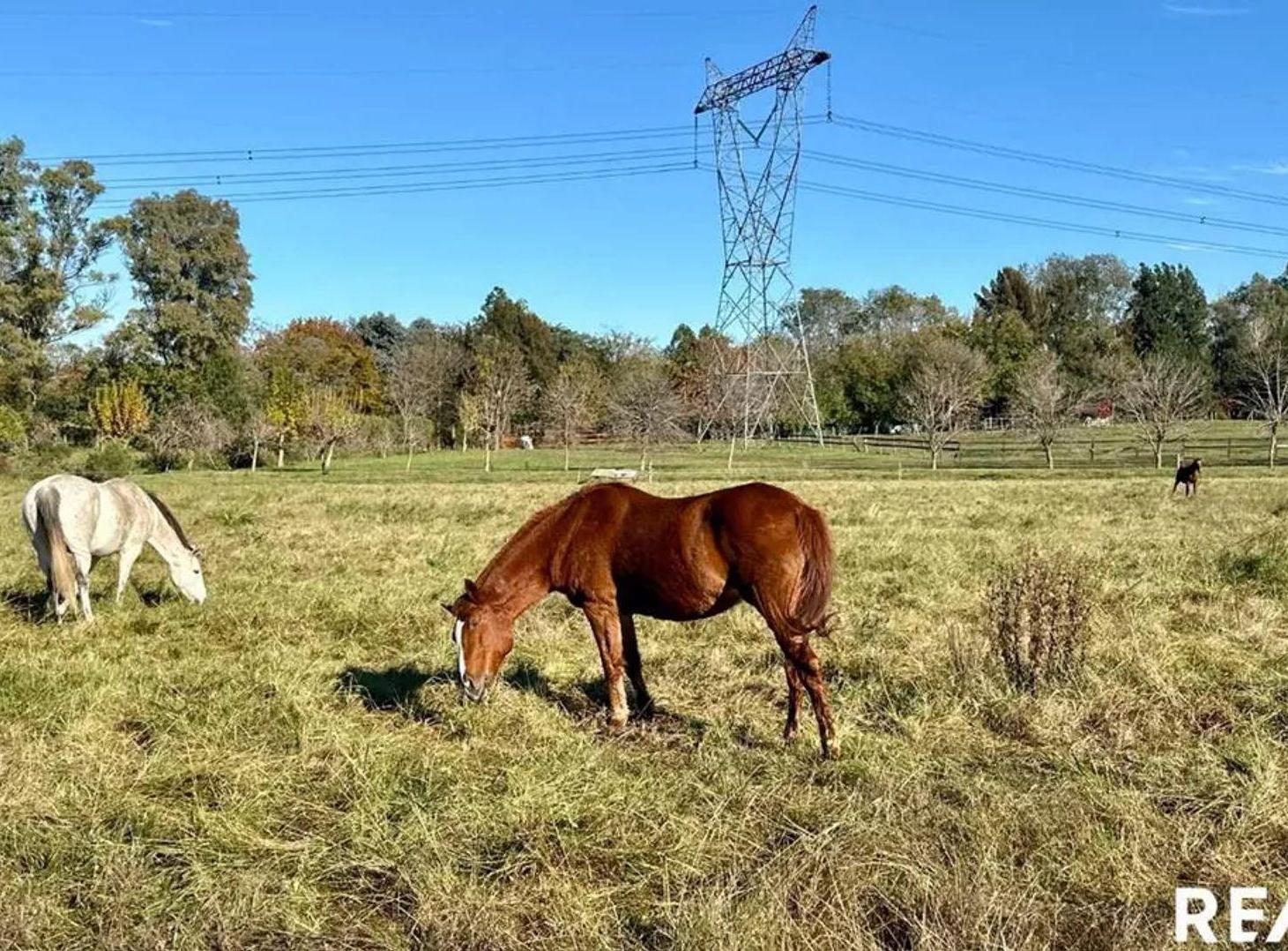 Foto de Terreno En Venta En Altos De Manzanares, Pilar, imagen 3