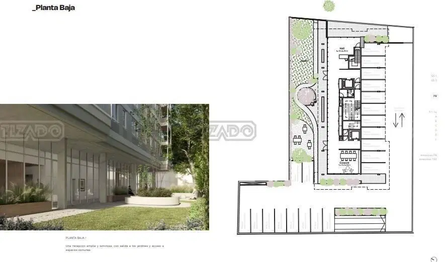 Plano 3