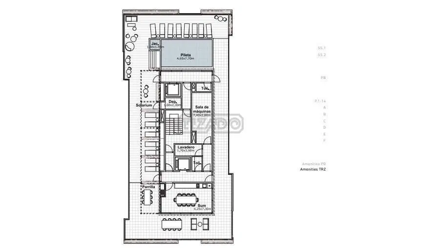 Plano 5