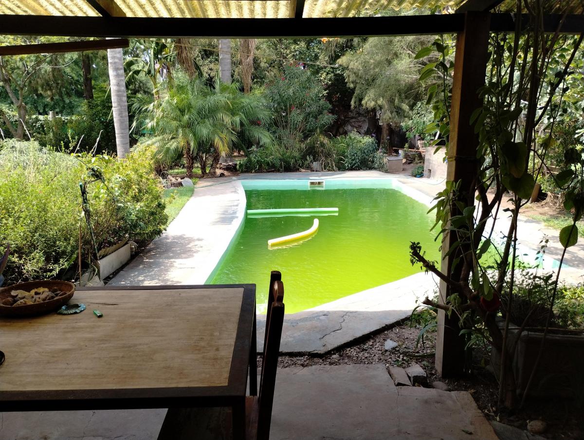 Foto de Casa quinta en venta , zona Maq. Savio, imagen 4