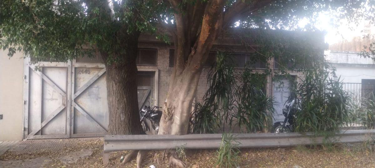 Foto de Local en venta sobre lote de 430 m² en venta en Béccar con cocheras, imagen 3
