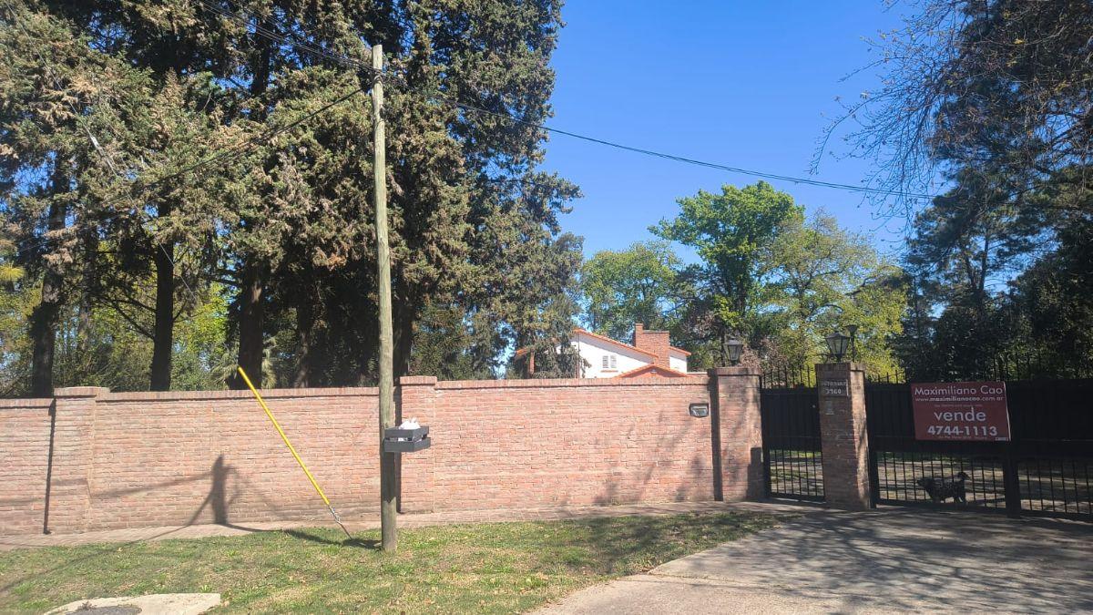 Foto de Excepcional casona en venta sobre lote de 4800 ms en Ricardo Rojas, imagen 5