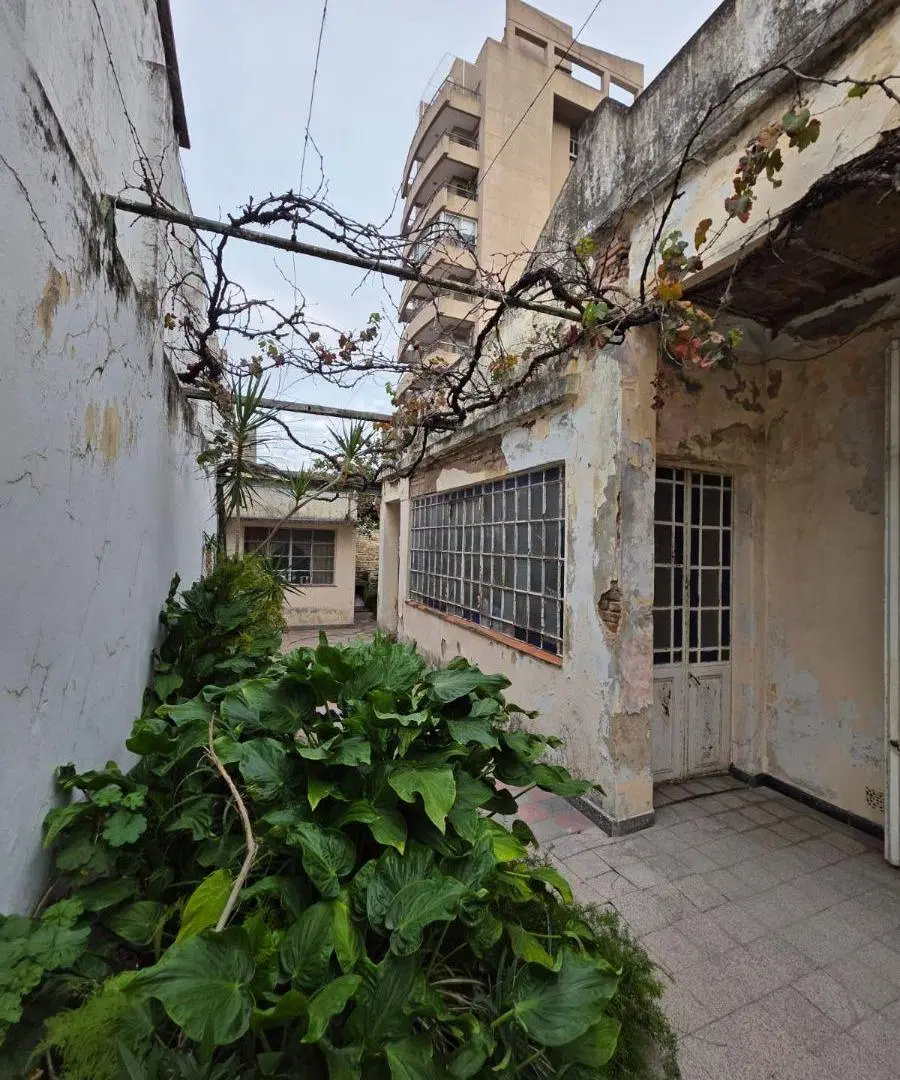 Gabriela mistral 2900-casa antigua sobre lote de 8,66x24 toda en bajos patio y terraza 5