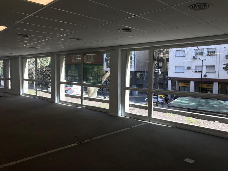 Foto de Oficina en Alquiler en Plaza Roma, imagen 5