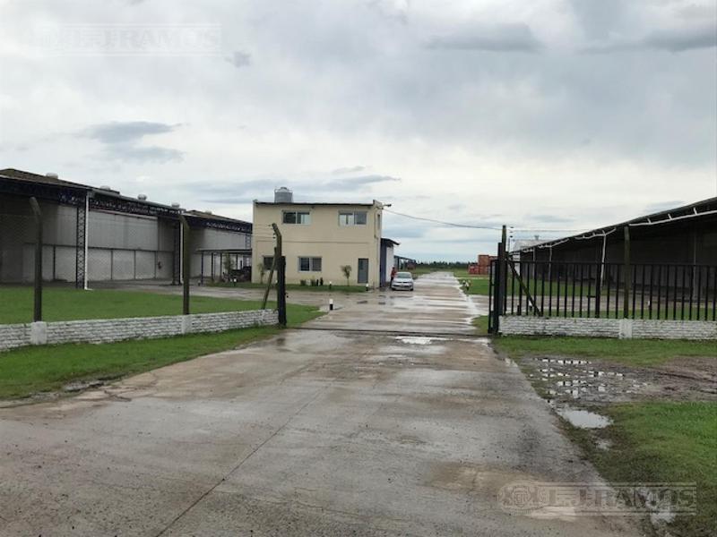 Foto de Depósito en Alquiler en Zárate, imagen 5