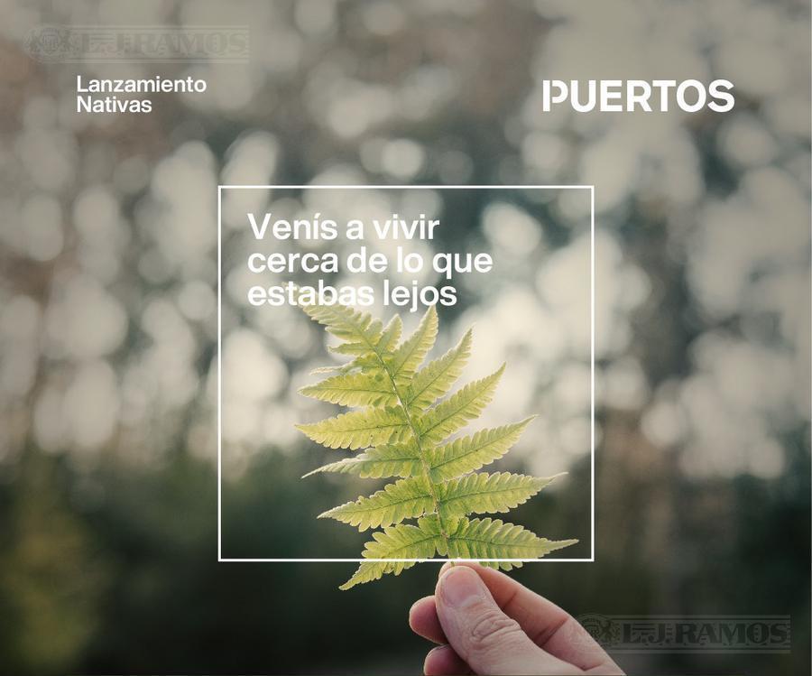 Foto de NATIVAS- Puertos del Lago, imagen 2