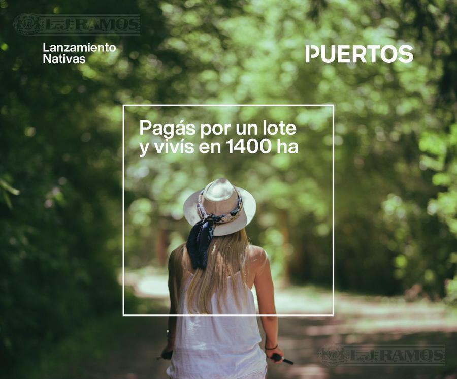 Foto de NATIVAS - Puertos del Lago, imagen 2