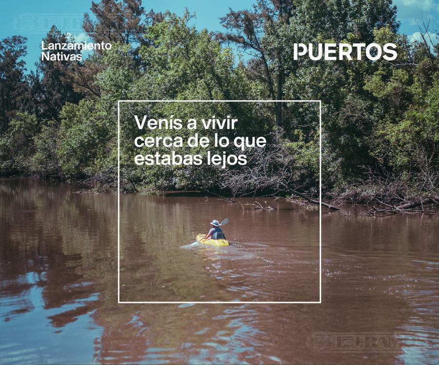 Foto de NATIVAS - Puertos del Lago, imagen 3