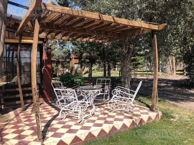 Casa Rural con Alma de Finca. a 4 Km de La Capital. Mendoza. Rivadavia. Terreno 8000 m² 5